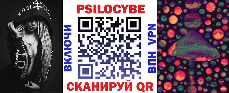 Купить закладки  Торопец  Галлюциногенные грибы мицелий 