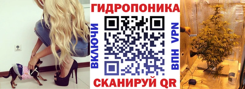 Купить  Торопец  Бошки марихуана Ganja 